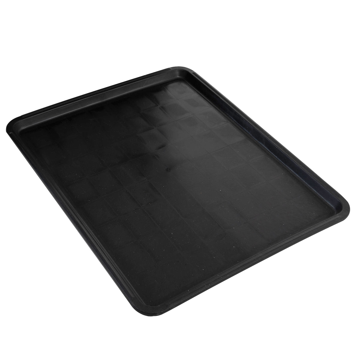 25389262