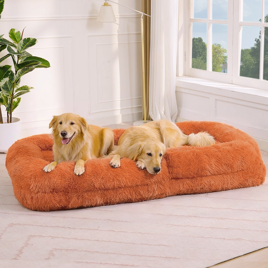 Convertible floor sofa sleeper mode 16.5 inch height
