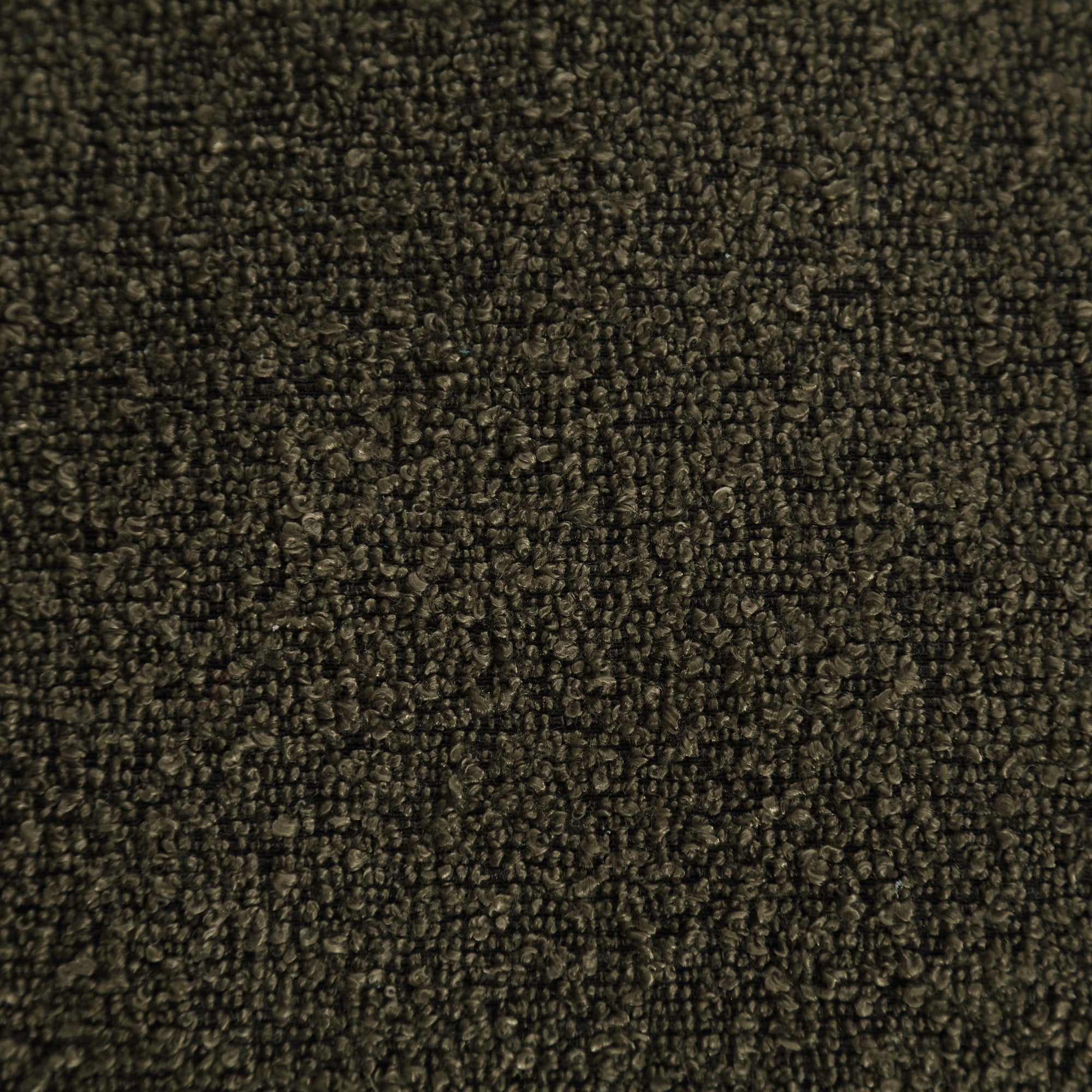 25350024