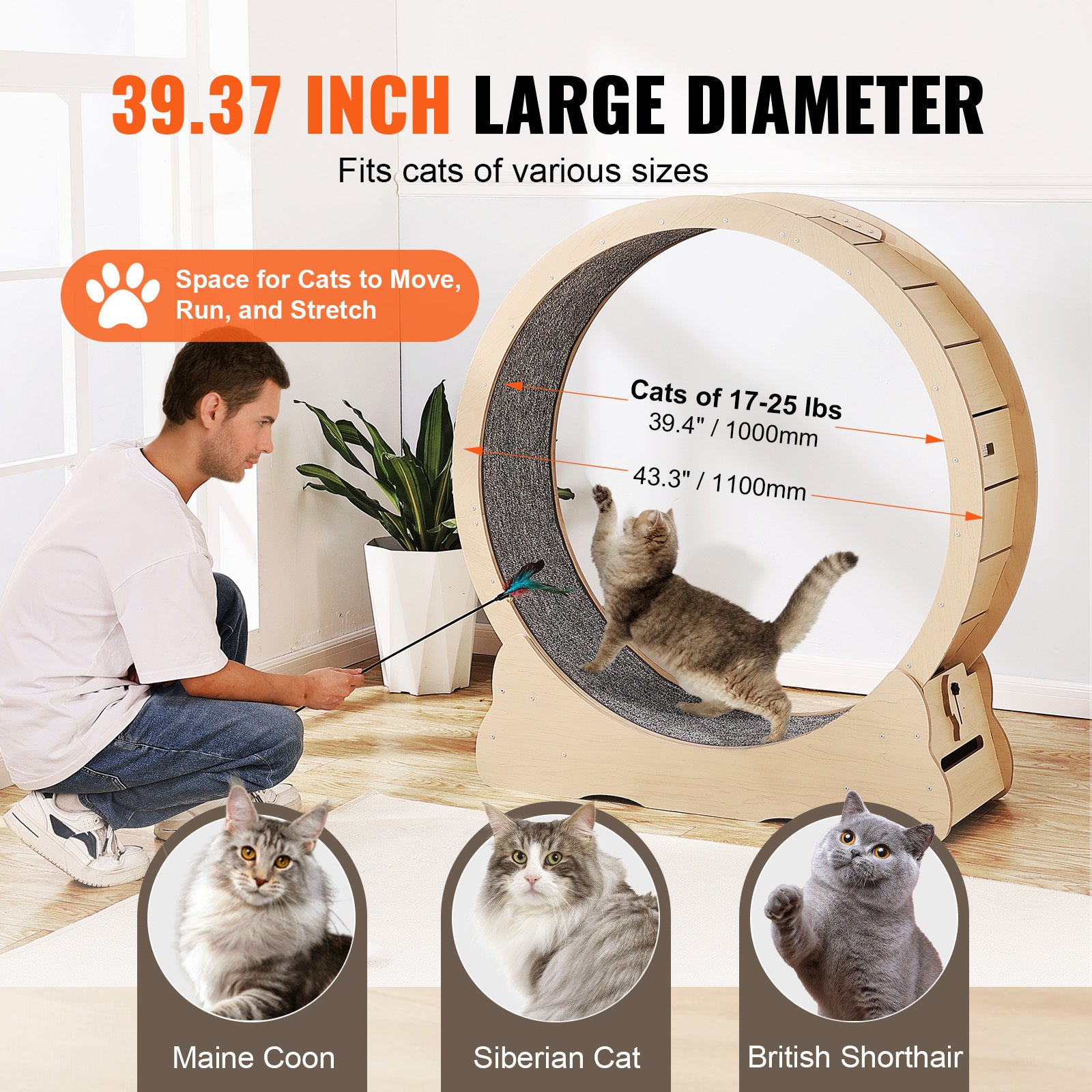 Indoor cat running on yellow exercise wheel