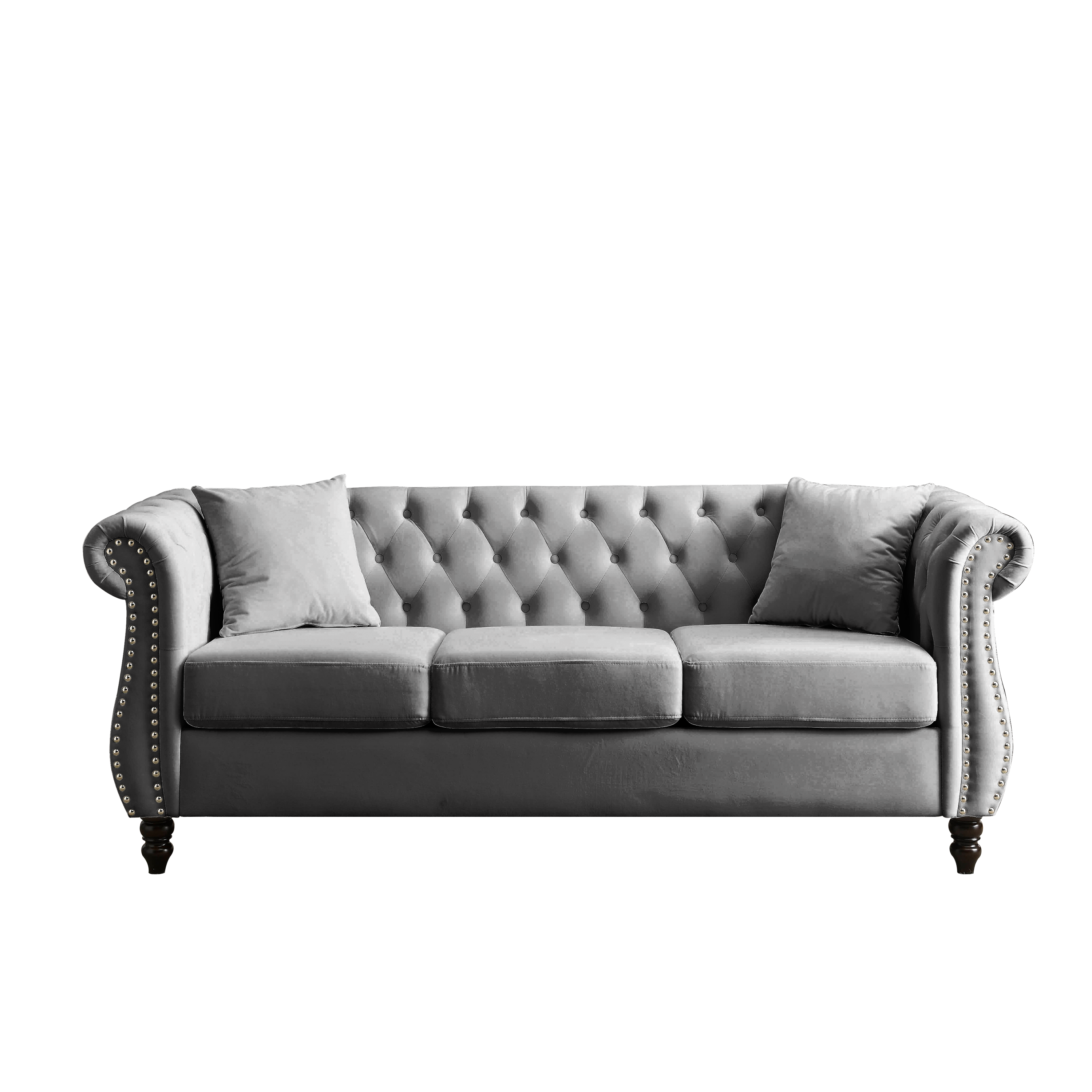 25250304