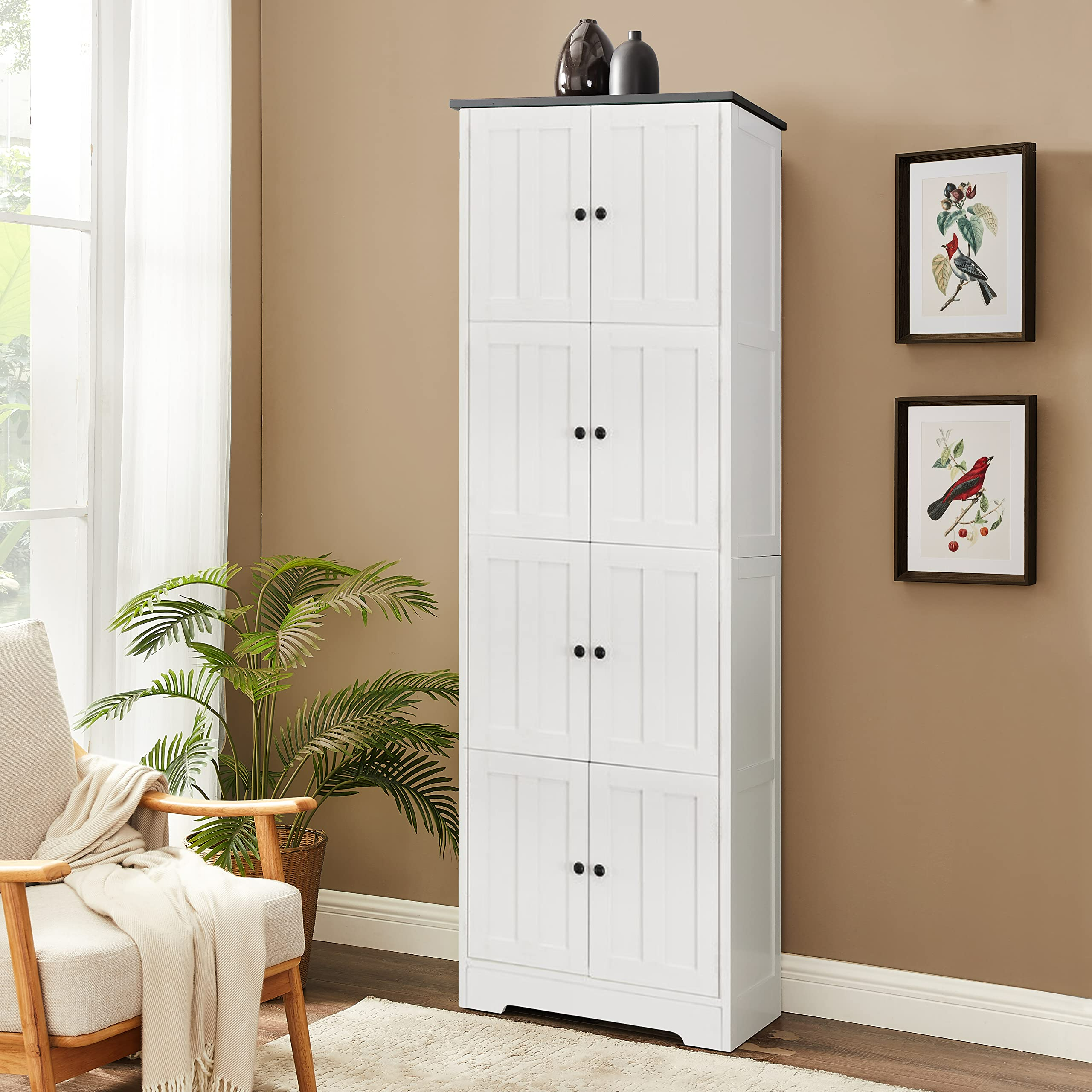 Tall storage cabinet interior shelves close-up